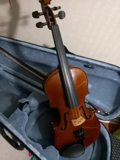 Violín acústico Carmona ¾, estuche rígido y arco - miniatura 2