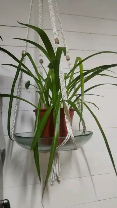 Lámpara decorativa de cristal con diseño moderno - miniatura 5
