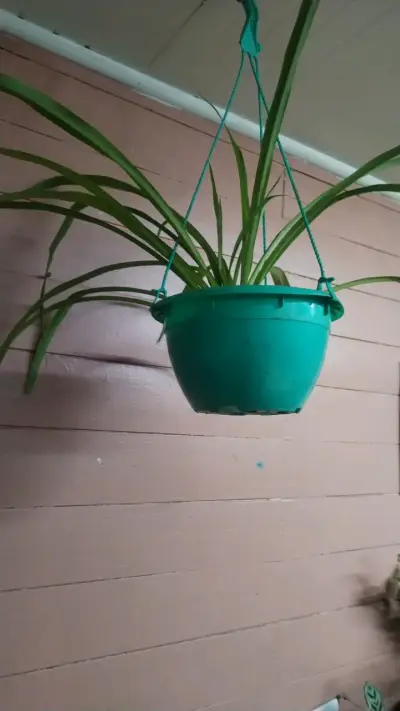 Lámpara decorativa de cristal con diseño moderno - miniatura 6
