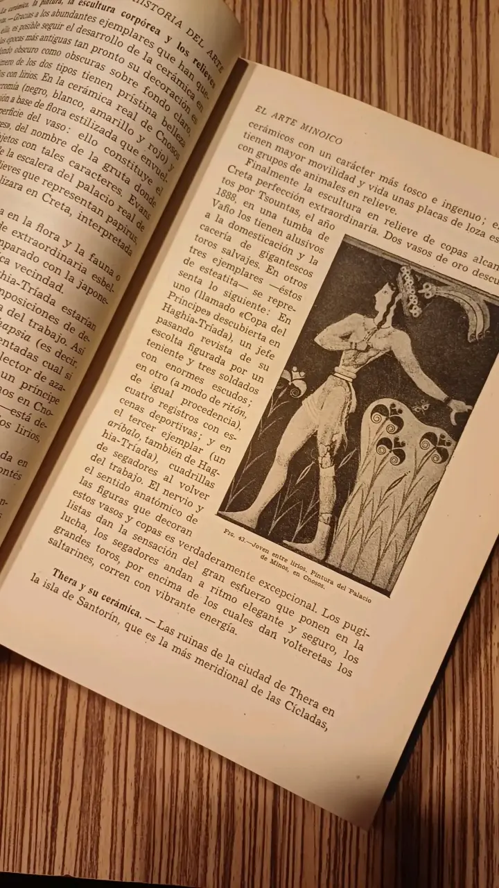 Libro Historia del Arte de J.F. Rafols - 4