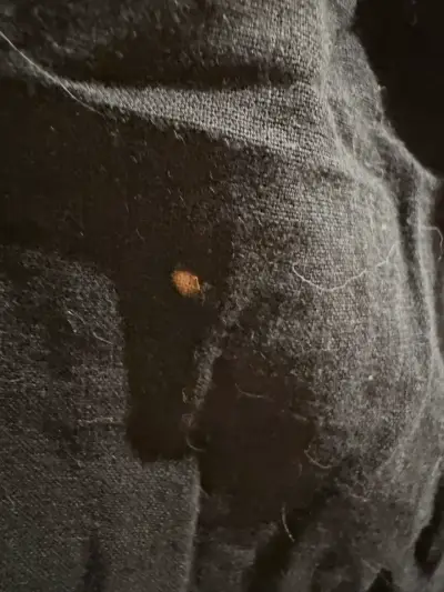 Shorts de hombre H&M azul oscuro - miniatura 4