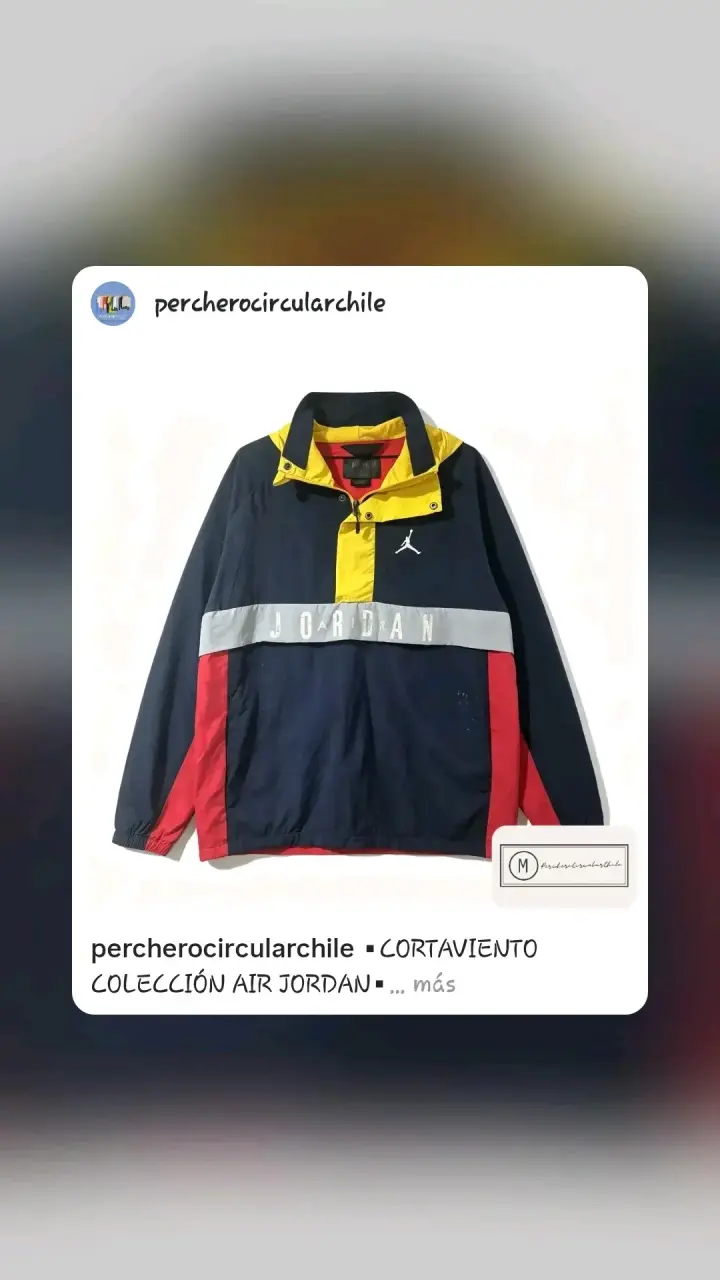 Cortaviento Air Jordan multicolor vintage