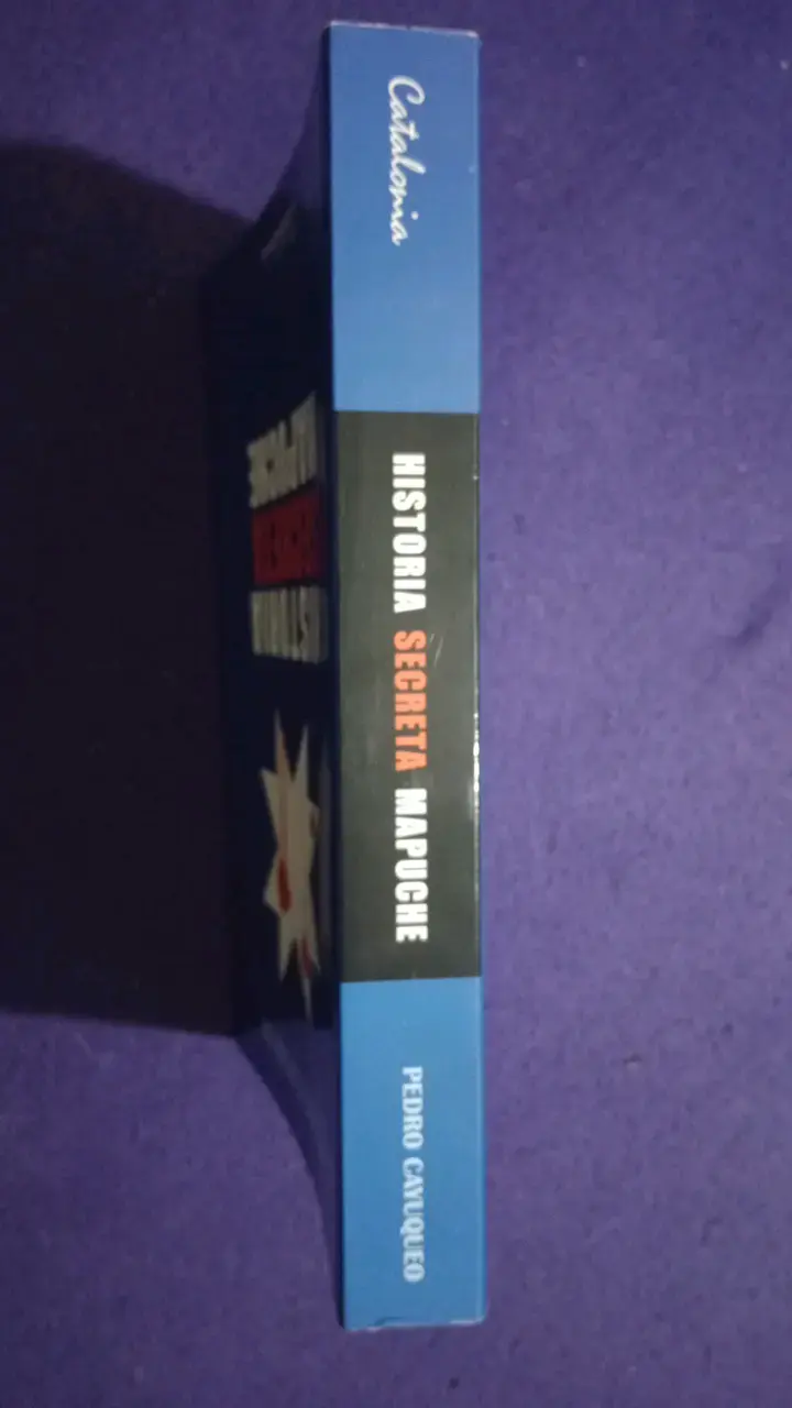 Libro Historia Secreta Mapuche de Pedro Cayuqueo - 3