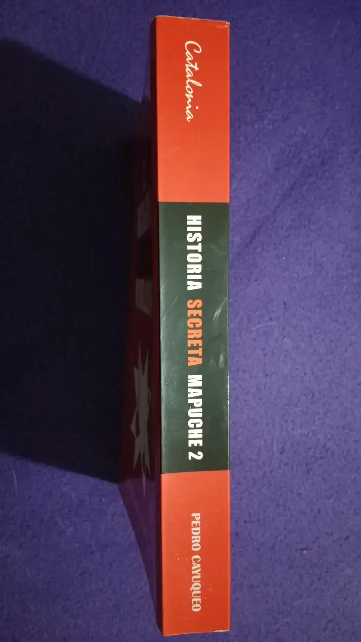 Libro Historia Secreta Mapuche 2 de Pedro Cayuqueo - 3