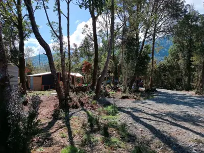 Terreno con casa - miniatura 4