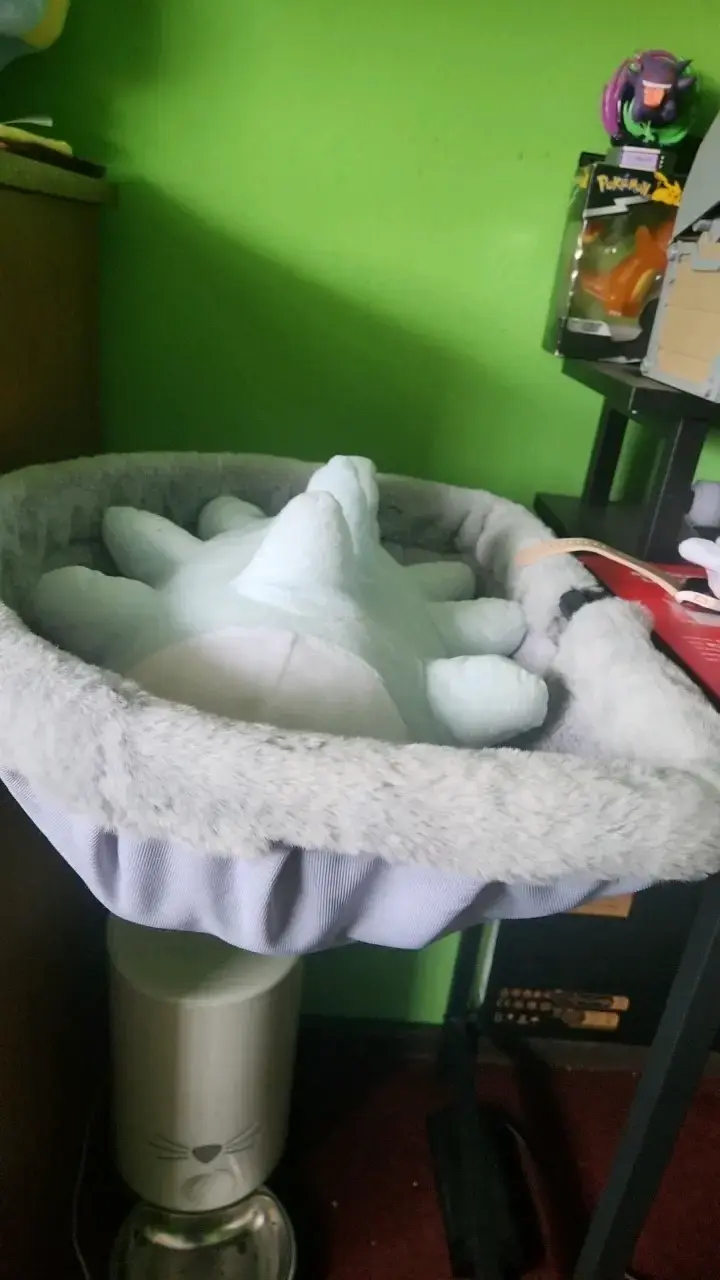 Cama para gato para escritorio - 1