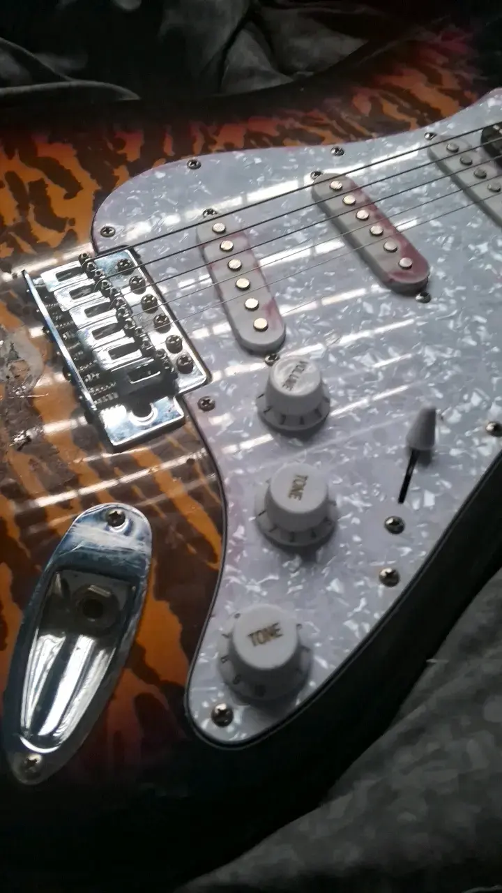 Guitarra electrica Palmer - 3