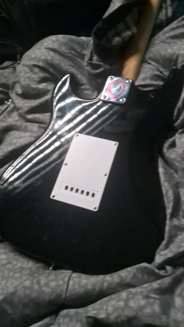 Guitarra electrica Palmer - 5