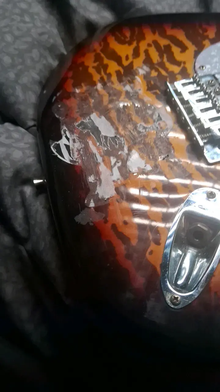 Guitarra electrica Palmer - 6
