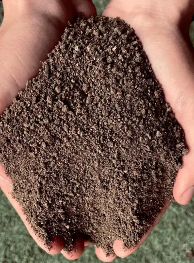 Guano Oveja orgánico para plantas - miniatura 1
