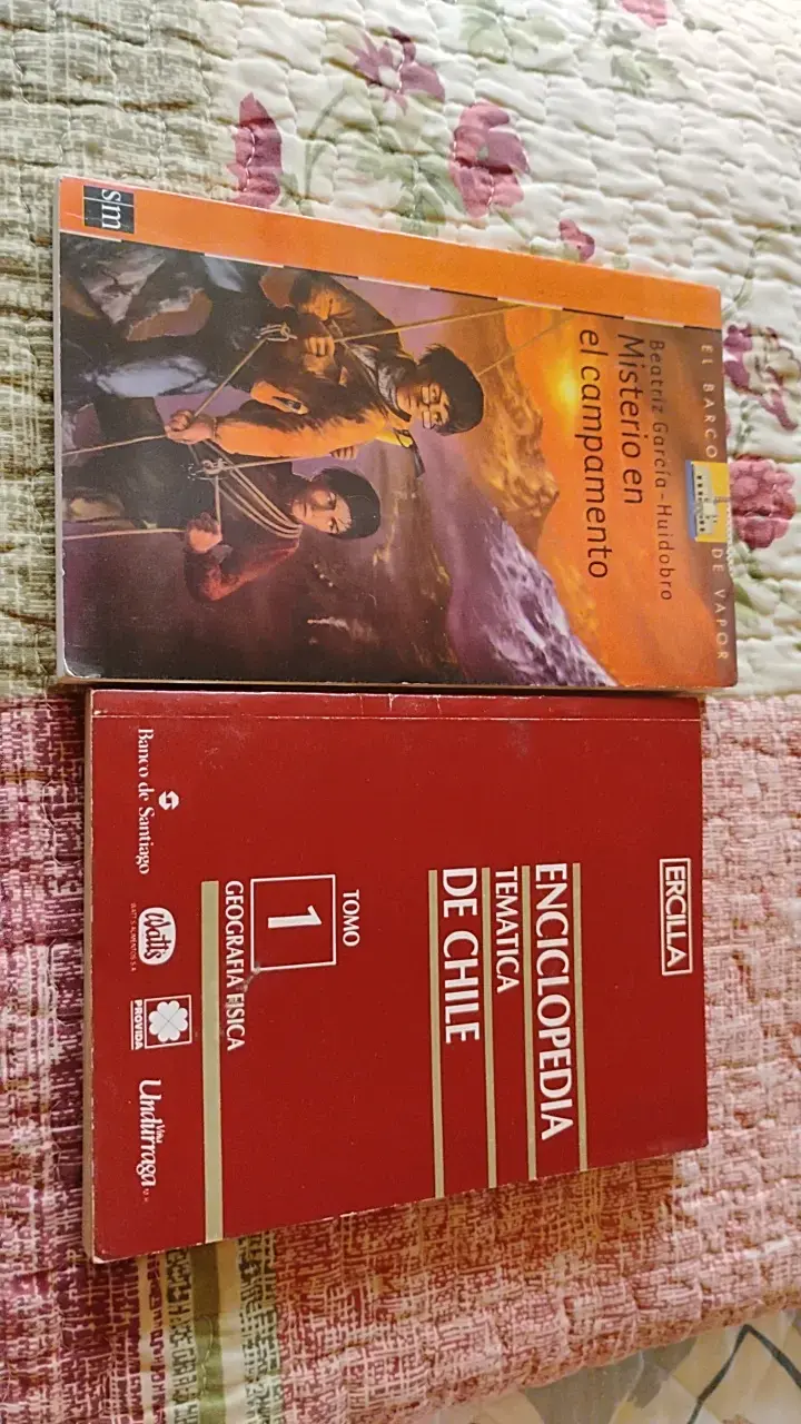 Libros Misterio en el Campamento y Enciclopedia de Chile - 1