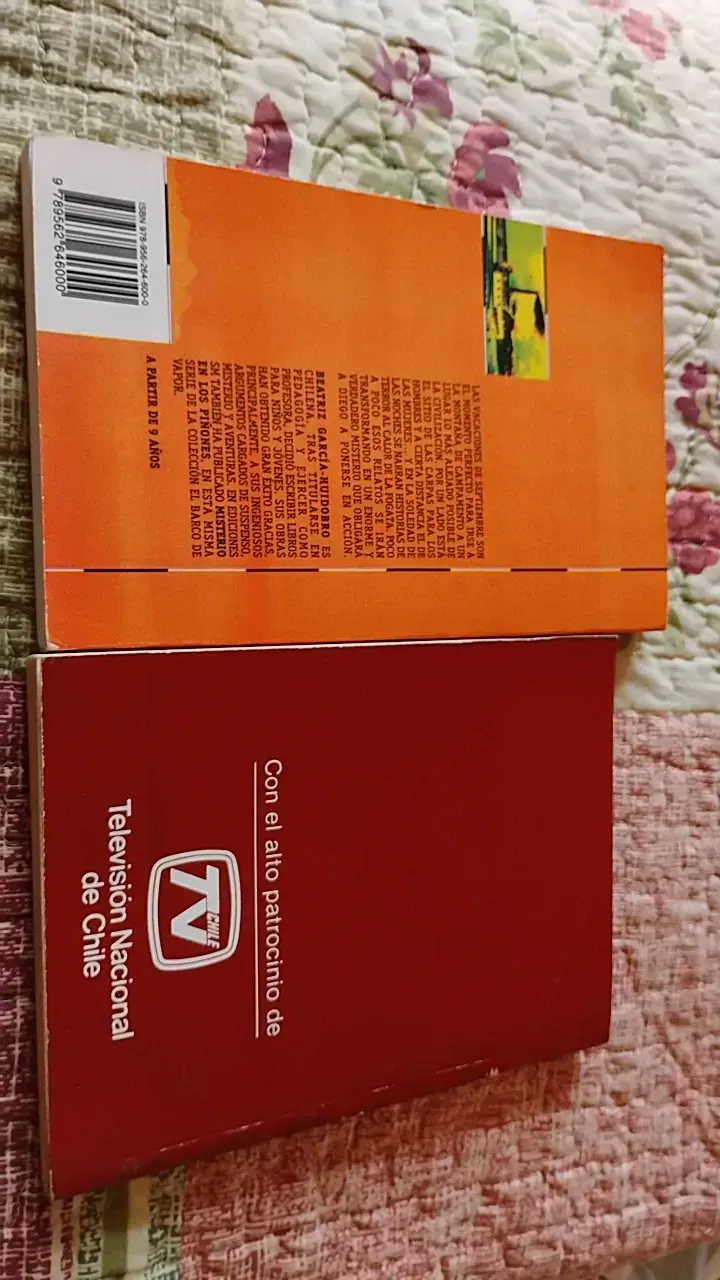 Libros Misterio en el Campamento y Enciclopedia de Chile - 2