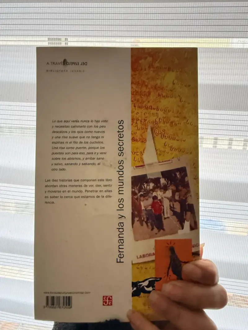 Libro 'Fernanda y los mundos secretos' de Ricardo Chávez Castañeda - 2