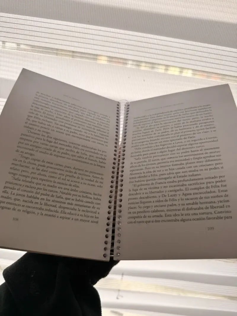 Libro Frankenstein o el moderno Prometeo Mary W. Shelley - 2