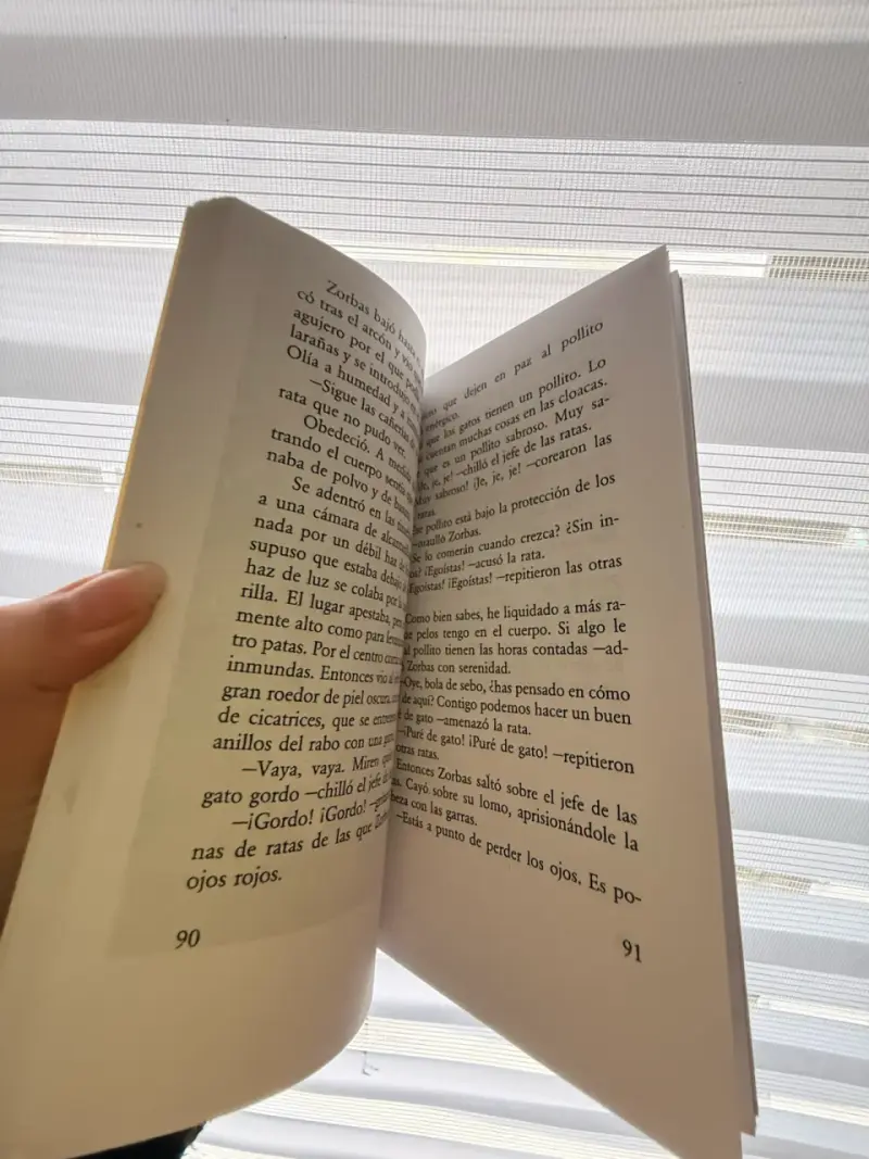 Libro 'Historia de una gaviota y del gato que le enseñó a volar' de Luis Sepúlveda - 2