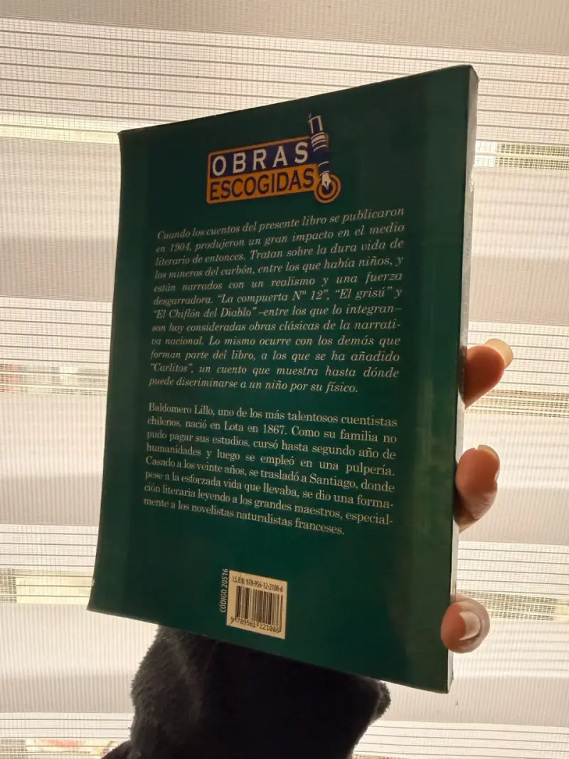 Libro Subterra y Carlitos de Baldomero Lillo - 3