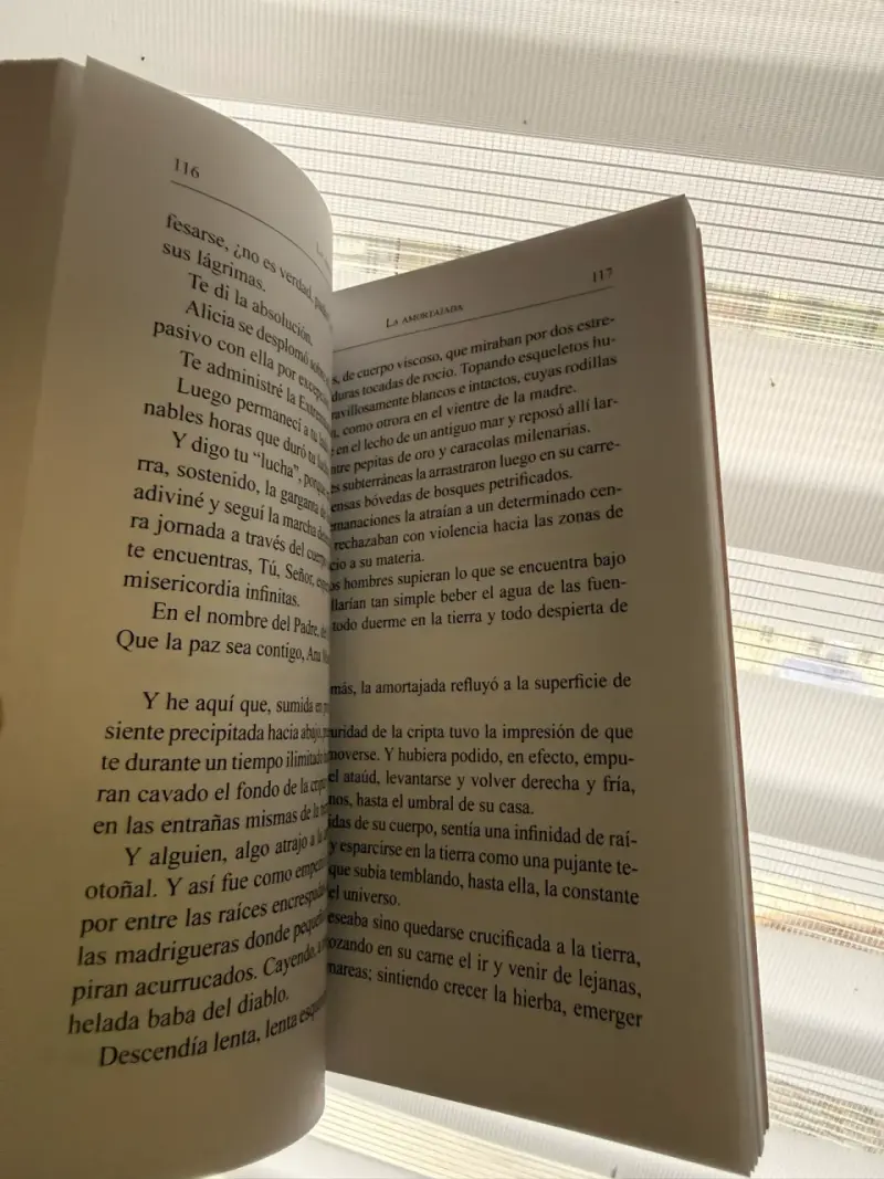 Libro Obras Completas Tomo 2 de María Luisa Bombal - 2