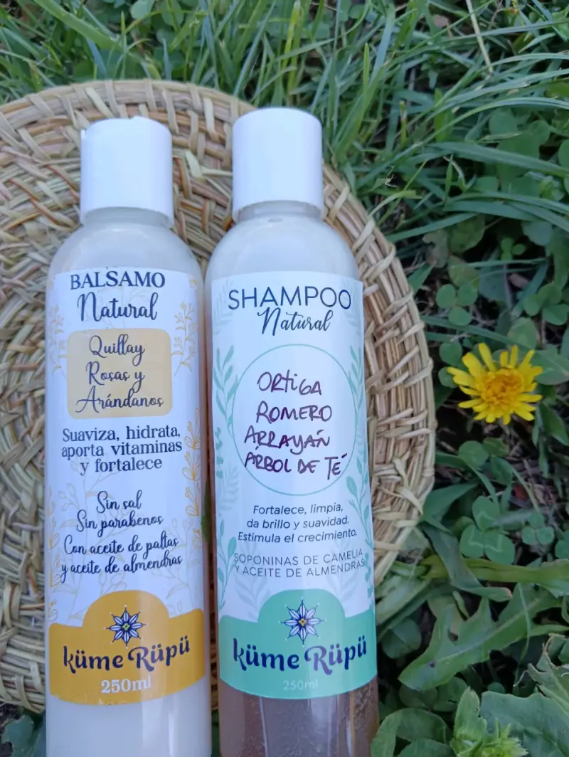 Shampoo y Balsamo Anticaida anticaspa