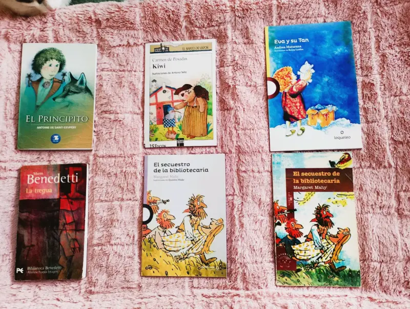 Libros de plan lector o plan de lectura escolar - 4
