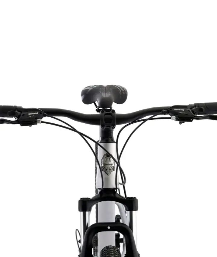 Bicicleta de montaña Bianchi blanca con suspensión - 3