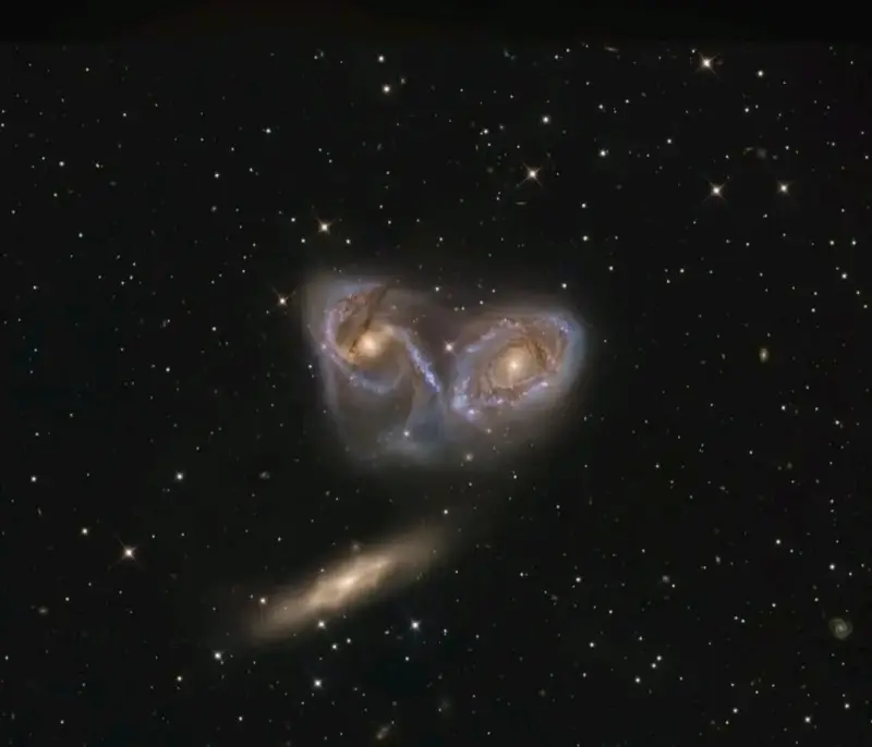 Telescopio astronómico Svbony F500mm con montura - 5