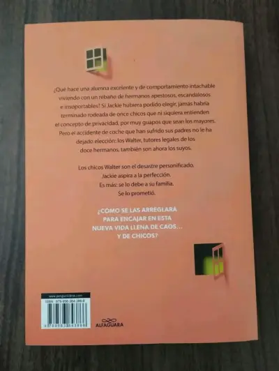 Libro 'Mi Vida con los Chicos Walter' de Ali Novak - miniatura 2
