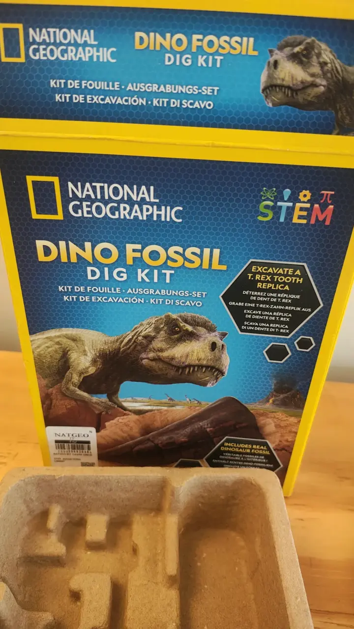 Kit de Excavación de Fósiles de Dinosaurio - 2