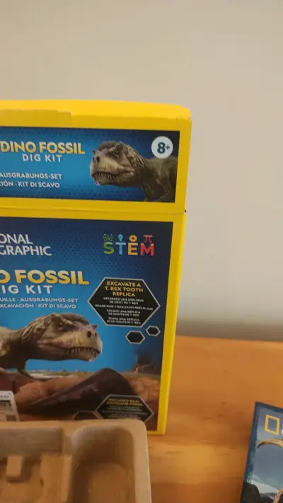 Kit de Excavación de Fósiles de Dinosaurio - miniatura 3