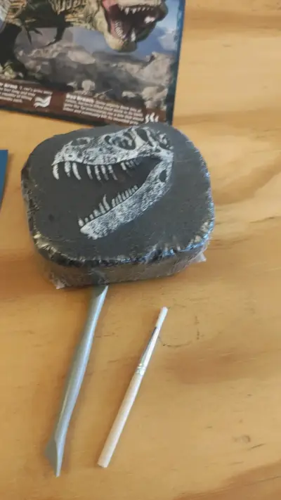 Kit de Excavación de Fósiles de Dinosaurio - miniatura 4