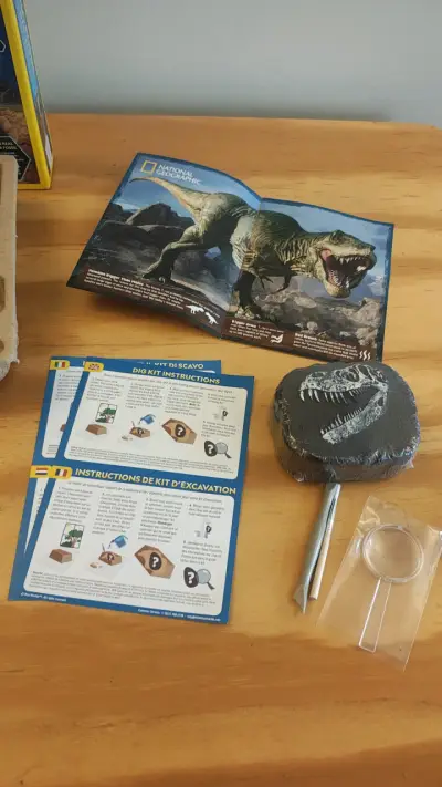 Kit de Excavación de Fósiles de Dinosaurio - miniatura 6