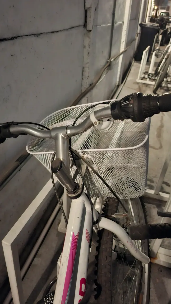 Bicicleta Oxford MTB con Canasto Blanco