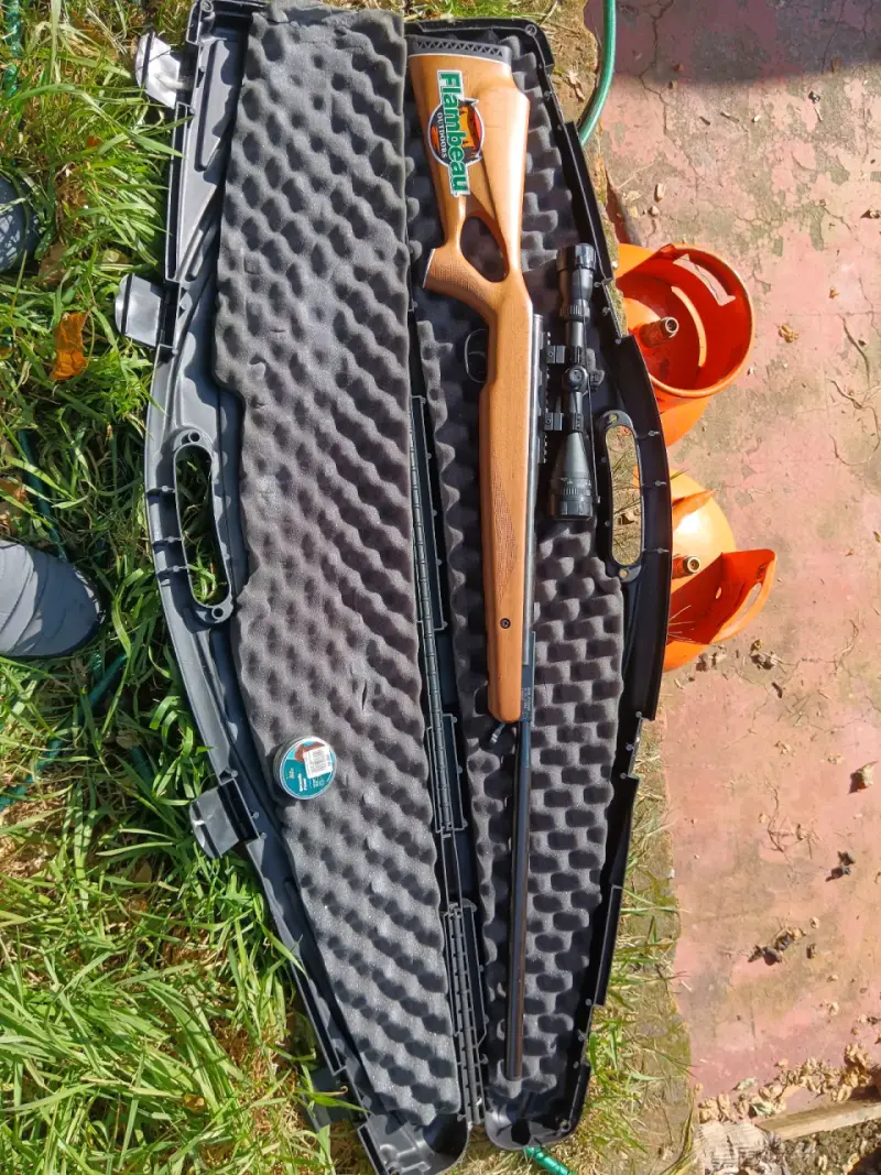 Rifle de aire comprimido con estuche rígido - 2