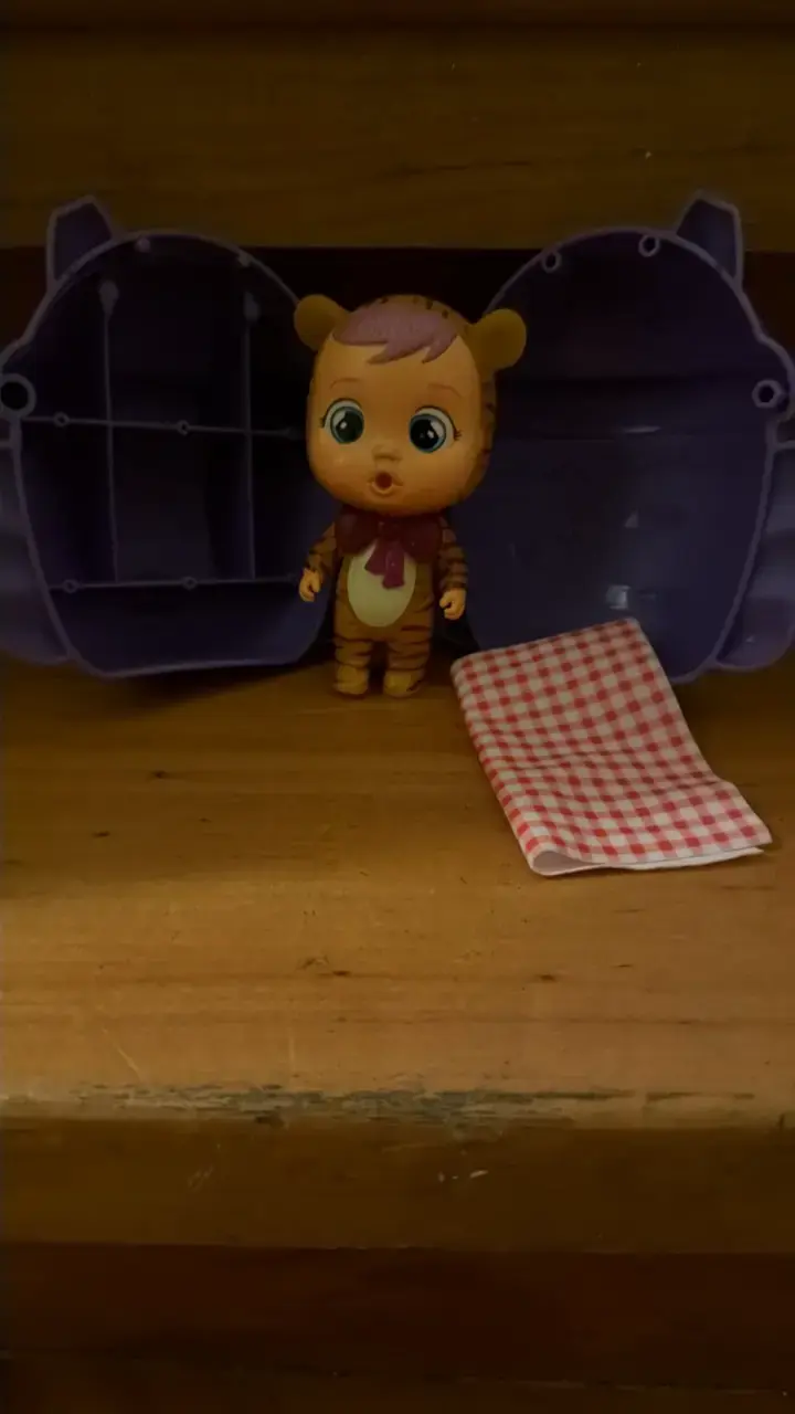 Bebé llorón con casita - 3