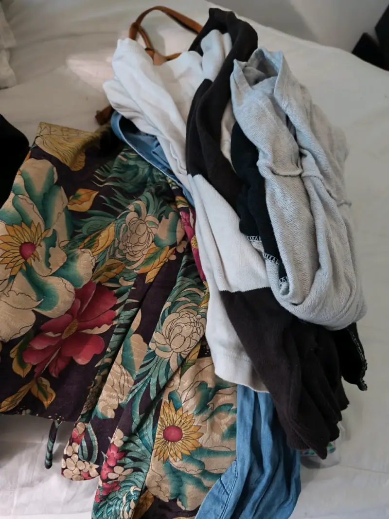 Lote 50 prendas - 5