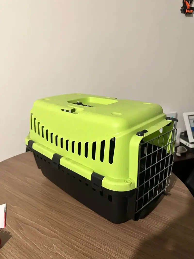 Transportadora de mascotas - 2