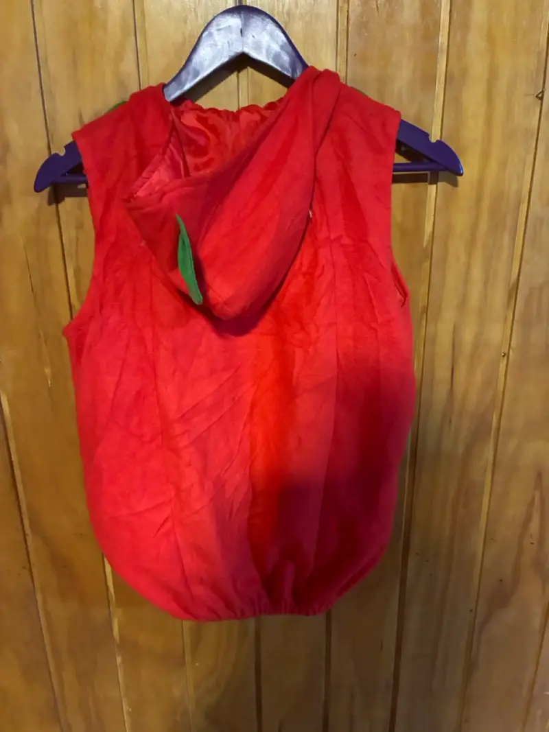 Disfraz de fresa para niños talla 6-7 - 3