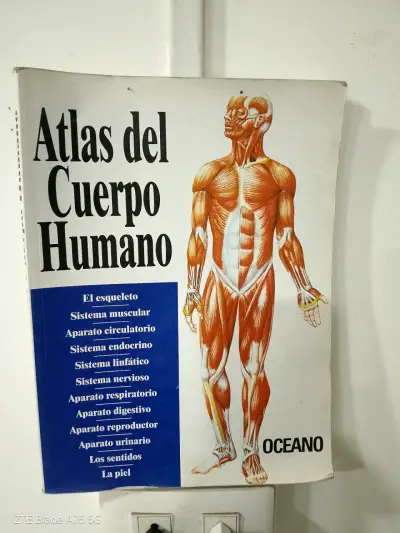 Atlas del Cuerpo Humano Océano - miniatura 2