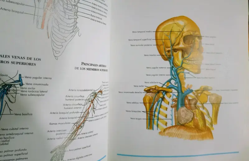 Atlas del Cuerpo Humano Océano - 4