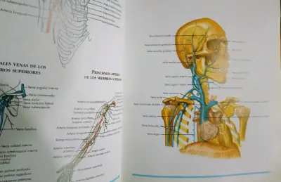 Atlas del Cuerpo Humano Océano - miniatura 4