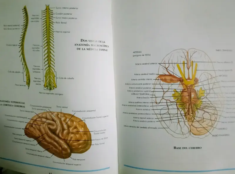 Atlas del Cuerpo Humano Océano - 5