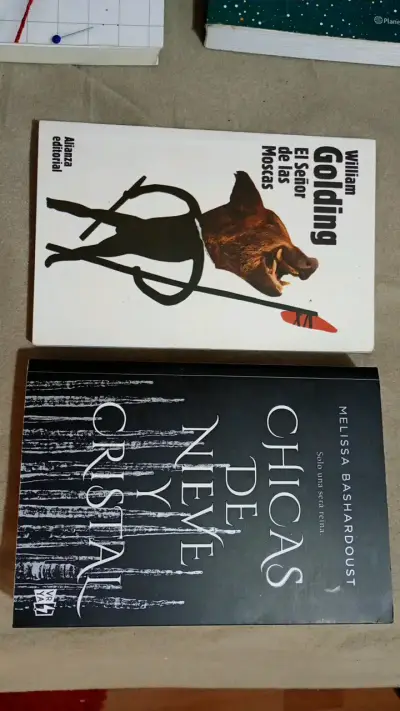 Lote de libros variados en buen estado - miniatura 4
