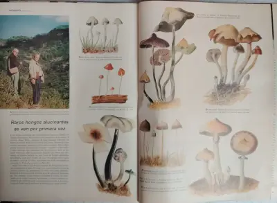 Revista Life en Español Junio 1957 Edición Coleccionista - miniatura 4