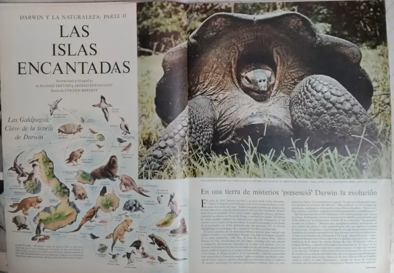 Revista Life en Español 6 de Octubre 1958 - 3