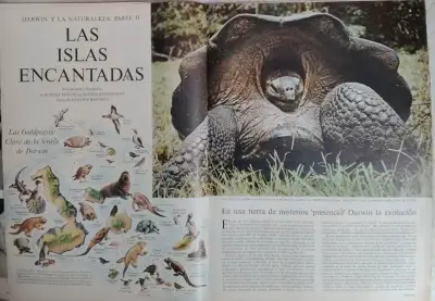 Revista Life en Español 6 de Octubre 1958 - miniatura 3