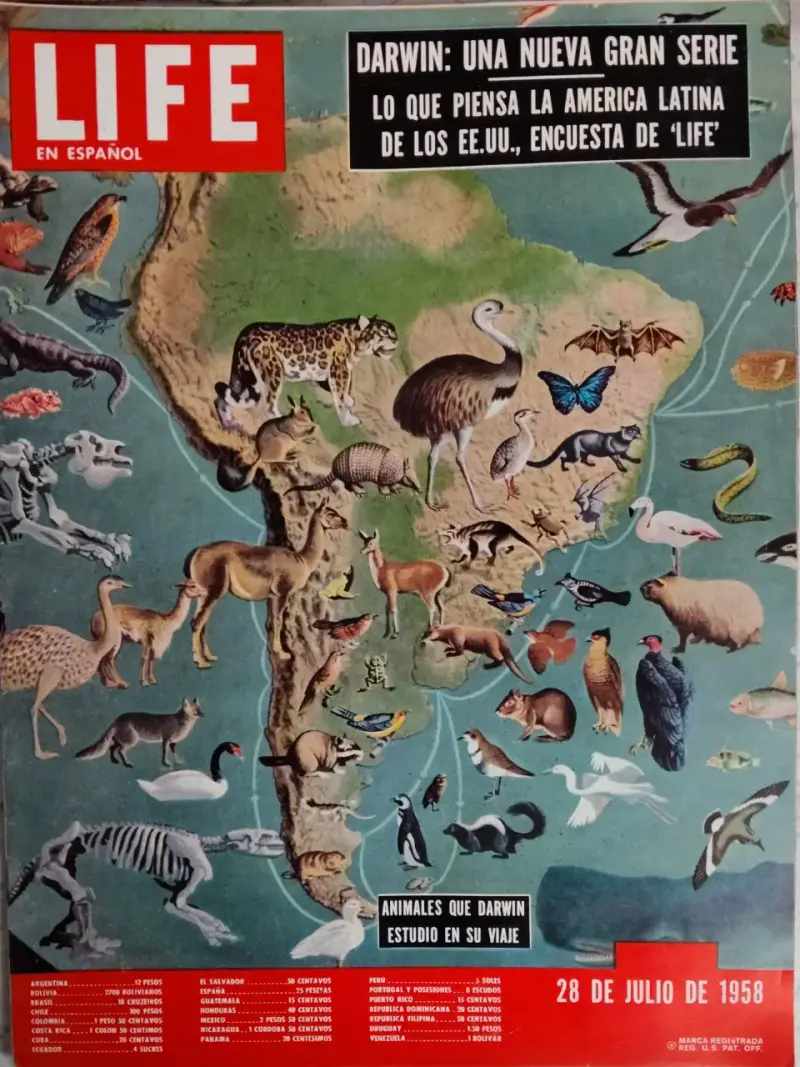 Revista Life en Español edición 28 de julio de 1958 - 1