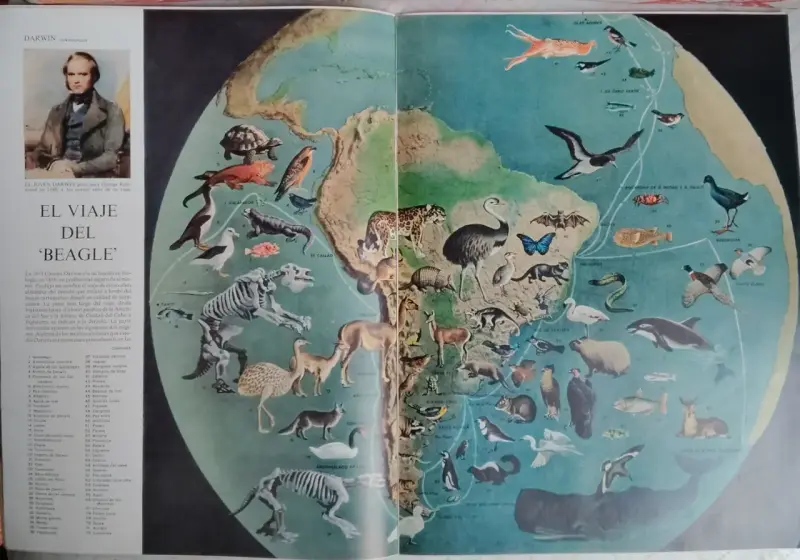 Revista Life en Español edición 28 de julio de 1958 - 4