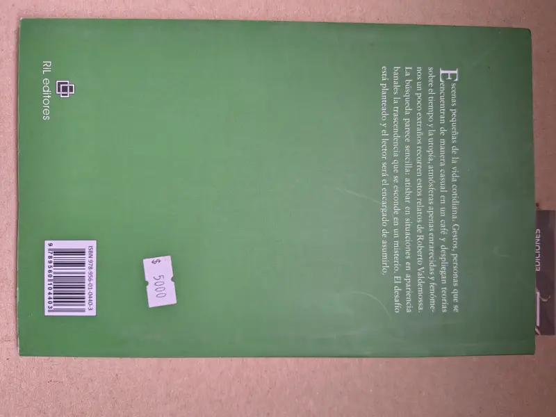 Libro 'La Grieta Suspendida' de Roberto Valdemossa - 2
