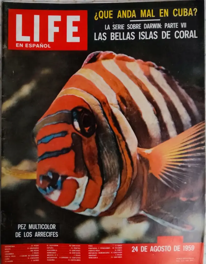 Revista Life en Español 24 de Agosto 1959 - 1