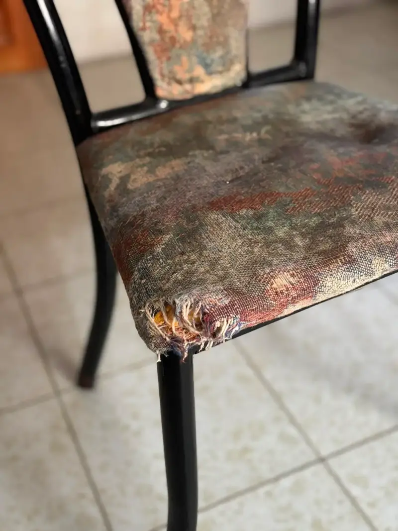 Juego de comedor de vidrio con 6 sillas - 5