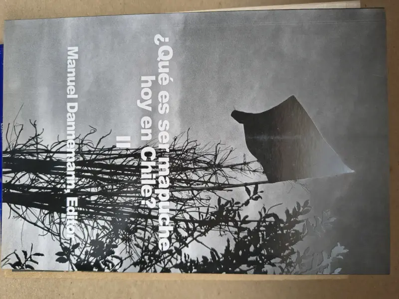 Libro ¿Qué es ser mapuche hoy en Chile? - 1